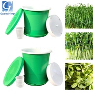 Gazechimp Seed Sprouter Tray Grower Sprouting Container Versatile Easy Use Peanut Sprout