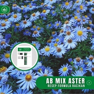 Resep AB Mix Aster Formula Racikan Nutrisi Bunga Aster