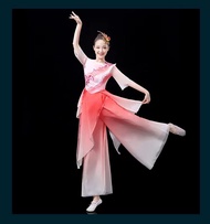 Classical Dance Costume Female Elegant Meng Die Flying Dance 18 Huandie Fan Dance Costume Blue Art E