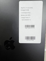 美版ipad PRO 11 512 m5 esim