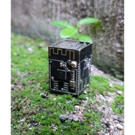 GANTUNGAN Esp32 Keychain Display