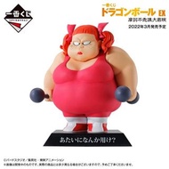 龍珠一番賞 Dragon Ball EX 摩訶不思議大冒険 Dragon Archives 肥妹