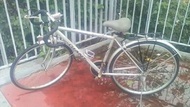 入門款GIANT捷安特R800公路車
