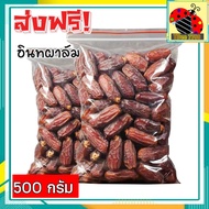 🎉 ส่งฟรี 💥 500 กรัม อินทผาลัม (พร้อมทาน) อินทผลัมอบแห้ง เดกเลทนัวไร้ก้าน Deglet Nour ขนมผลไม้และผลไม้อบแห้ง อาหารผลไม้เชื่อมแห้ง ลูกพรุน ผลไม้รวมอบแห้ง ขนมทานเล่น อินทะผาลัม