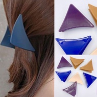 Triangular Hair Clip SALON Clip
