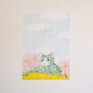 明信片 看得見貓咪的春天 新年賀卡