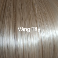 [TẶNG LƯỚI] Tóc giả nữ cả đầu thẳng dài mái hime - TG001