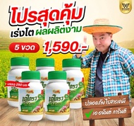 โปร 5กระปุก  A Grow เอ โกรว Super Grow 88 ปุ๋ยชีวภาพไคโตซาน ลุงเอ อนันต์ (ขวด 250 cc)