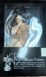 CCP kinnikuman kinnikumantaro The Kinnikuman Legacy Skin color 筋肉人