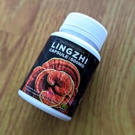 Lingzhi Ganoderma Lucidum Original Bio-Lingzhi Biolingzhi 100% Original + Gift