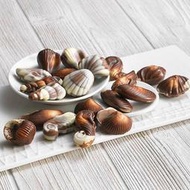 ＊比利時＊ Chocolate world#1586名牌海洋生物巧克力硬模 貝殼 海馬