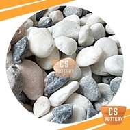 1 KG GREY AND WHITE PEBBLE STONE GARDEN LANDSCAPE DECORATION AQUARIUM BATU KACANG