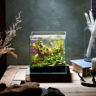 【ECO ZERO】 SE+ Cube 透明光科技 水族生態過濾魚缸 打氣套組