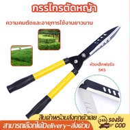 Grass Shears Pruning Garden