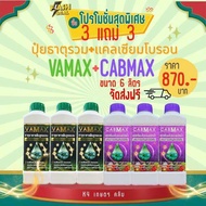 ชุด 3 แถม 3 (ปุ๋ยธาตุรวม VAMAX + CABMAX แคล เซียมโบรอน) ปลอดภัยจากกรมวิชาการเกษตร