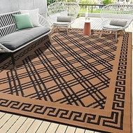 Outdoor Rug Picnic Blankets Vintage Classic Style 5x8