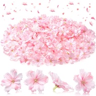 5/10/20/30pcs Fake Flower Heads Artificial Silk Flowers Head Peony Daisy Decor DIY Flower Decoration for Home Wedding Party Car Corsage Decoration Fake Flowers