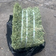Delicious Whole Dried Timothy Grass for Rabbits, Bugs, Guinea Pigs, Chinchillas. 10kg package