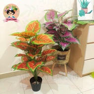 Premium Pokok Hiasan Viral/80cm/Artificial/24pcs Leaf/Pokok Monstera Albo/Pokok Monstera/Pokok Keladi/Pokok Daun/