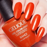 BANDI GELIQUE GEL COLOR ( GF502 )