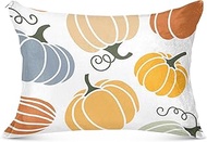 Colorful Pumpkins King Pillow Shams Skin-Friendly Body Pillow Cover, Zipper Pillow Case 21x54 Inches
