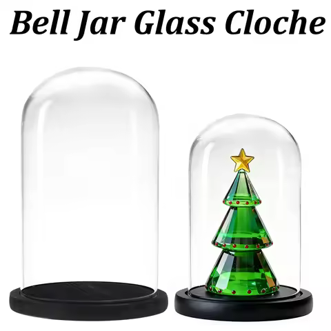 The Bell Jar Glass Cloche with Black Wood Base 15 Sizes Clear Decorative Glass Dome Display Storage 