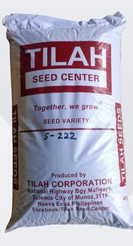 BINHI PALAY (TILAH SEEDS) in 40KG Packaging