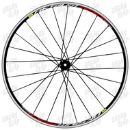 Sticker AKSIUM RACE Sticker Width 1cm Decal rim mtb downhill roadbike 700c