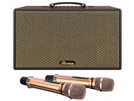 Loa Karaoke di động xách tay Paramax Aura