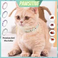 PAWSITIVE Anti Flea Collar Cat Flea Collar For Cat/Rantai Kutu Kucing/Rantai Kucing Anti Kutu/Kolar 