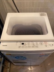 TOSHIBA洗衣機