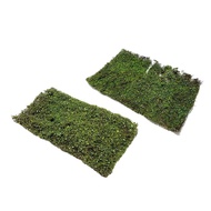 [tenlzsp0bc] Mini Grass Tufts Tuft Terrain Model Foliage Terrain Model Simulation Grass Cluster for 