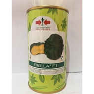 ℗◑Kalabasa (Squash) Bella F1 East West Seeds 100Gms