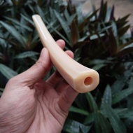 Once pipa cangklong iga duyung kristal segi 8 super tebal 19-20cm melengkung