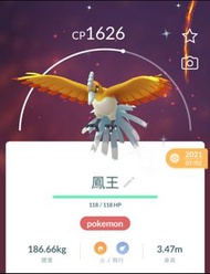 Pokemon 色違鳳凰 "Pokemon Go" "劍盾"