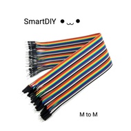 Jumper Wire for Arduino IoT Male to Male, Length 20cm