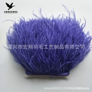 Double Layer Supply Lace Wholesale Manufacturer Ready Stock Ostrich Feather Cloth Edge Feather Color