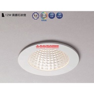 Taipei Changchun Road Dance Light DANCELIGHT Black Diamond LED-9 "DOD12D LED 12W 9.5cm Hole Projecti