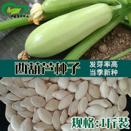 Western Gourd Seeds Farmland Vegetables Planting Seasonal Vegetables Gourd Seeds Cold-Resistant Emer