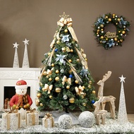 2FT/3FT/4FT/5FT Christmas tree christmas tree decor cristmas tree Mini Christmas tree