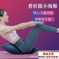 Corrector Back Scoop Little Dolphin Corrector OOVIIZ Spine Pilates Spine Training Core Pilates RXCM