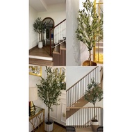 Pokok Viral-artificial Premium Olive Tree & Eucalyptus Tree PLANT  {memberikan kualiti, walaupun buk