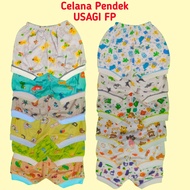 USAGI Fullprint Baby Shorts