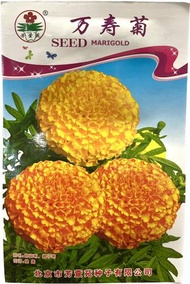 溢翠園藝 - 萬壽菊種子 2包裝