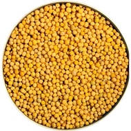 YELLOW MUSTARD SEED 500GM