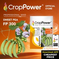 (200 GRAM) Biji Benih Kacang Pis Sweet Dream 豆宝 FP300 CROP POWER Sweet Pea Seed 甜豆种子 FP 300
