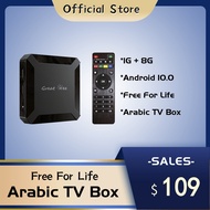 Great Bee Lifetime Free Arabic TV Box, Android 10 Smart 4K Arabic X96 Media Player Satellite Receiver Henyi
