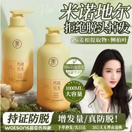 Ruyi Side Cypress Leaf Ginger Shampoo Anti-Fixing Hair Oil Control Fluffy Anti-Dandruff Anti-Itching