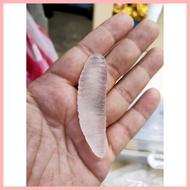 ▪ ☌ ✲ ▟ Mutya ng Linta Clear with oracion