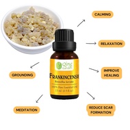 Frankincense Essential Oil - 100% Pure for Aromatherapy, Ideal for Meditation, Grounding, Calming